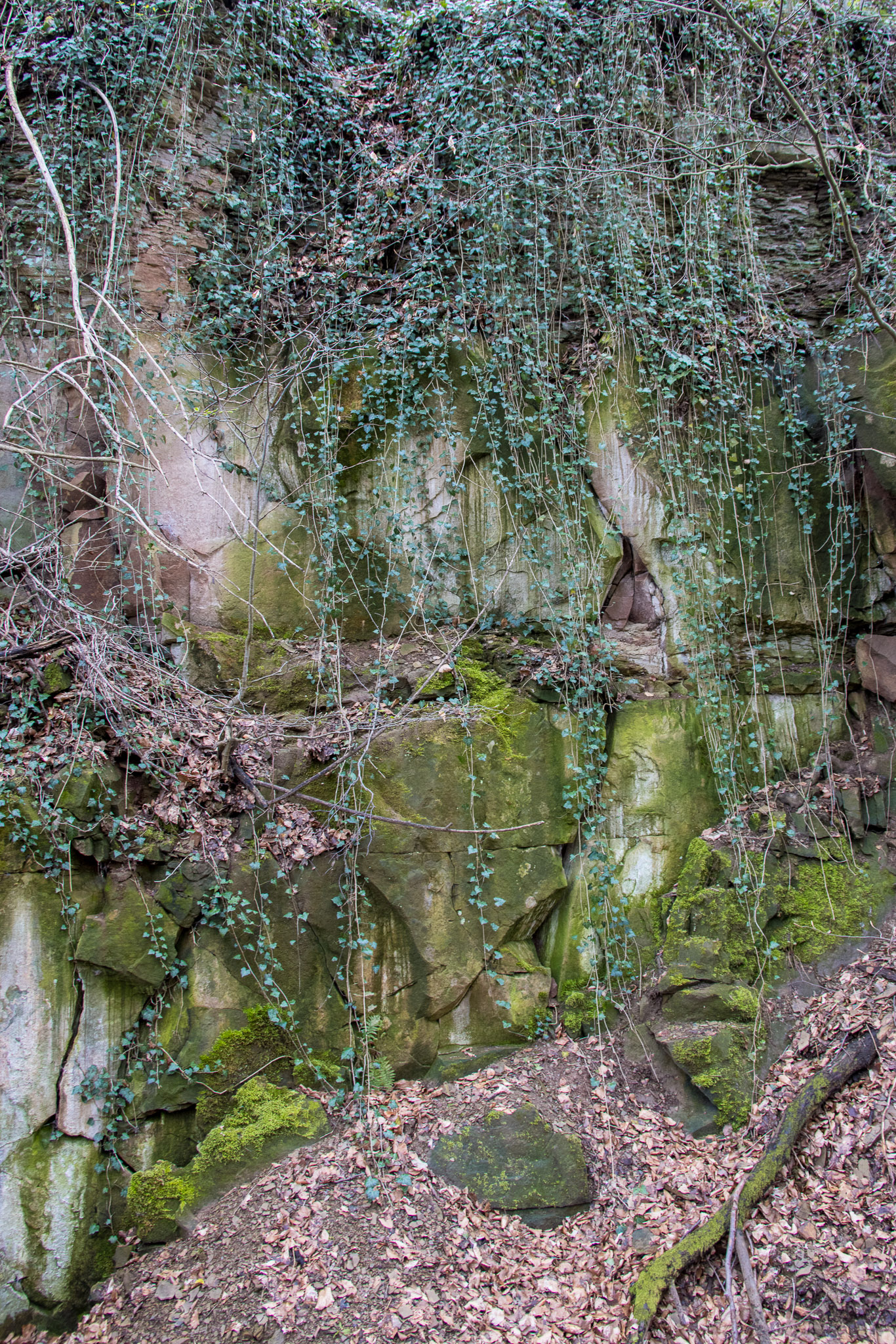 20220410112612 R5D 2015